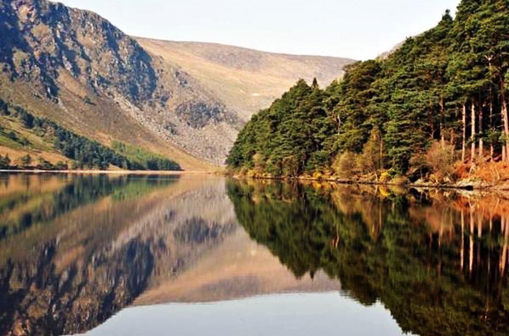 Lakeview Lodge B&B Blessington Ruang foto
